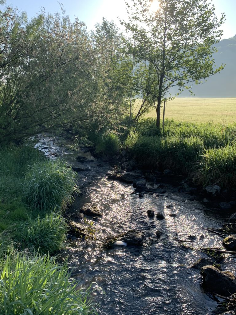Wiesenbach bei Biberach an der Riß
